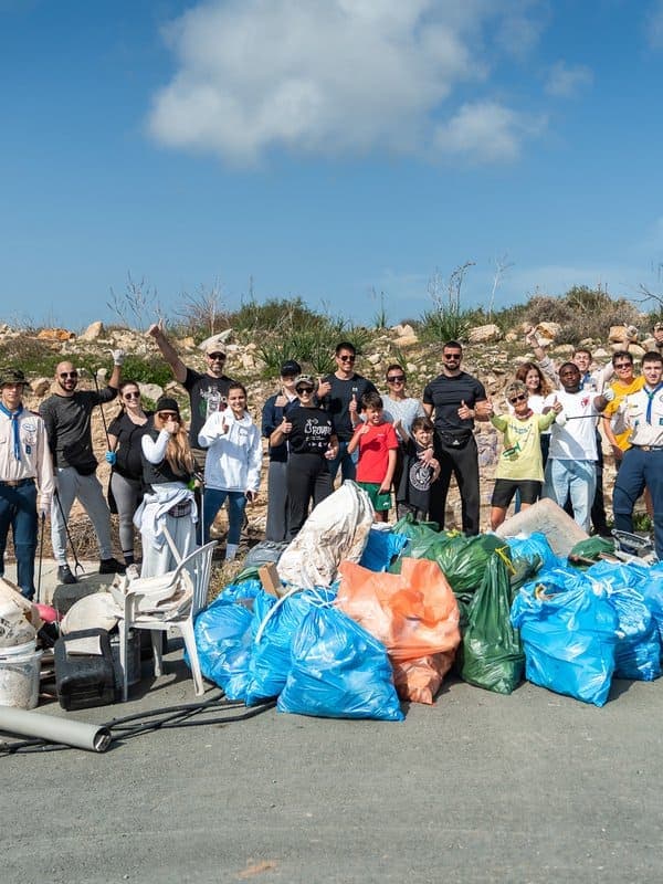 Newsweek article cover: Stray cat settles into new home just 20 minutes after arriving